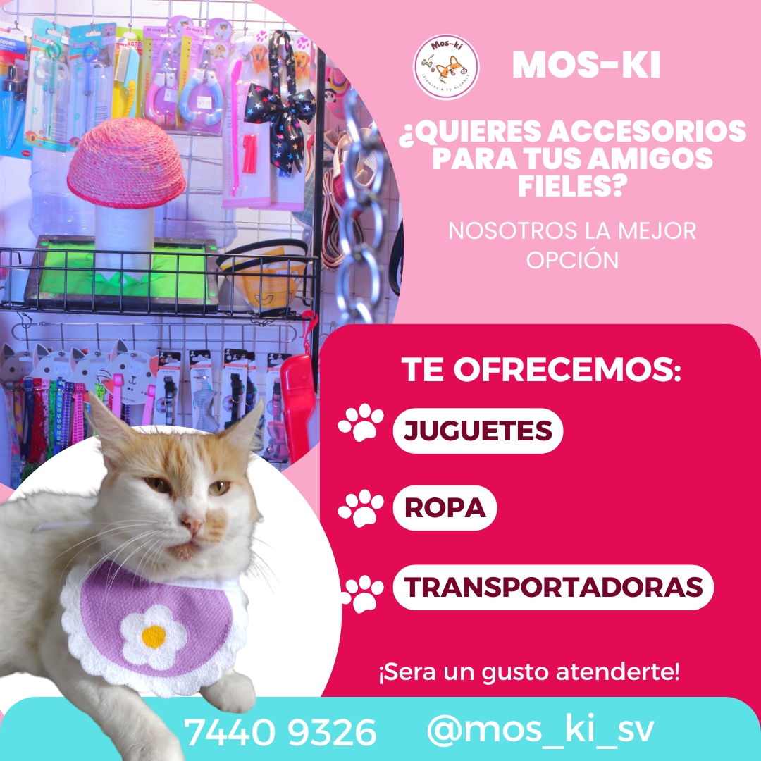 moski servicios.png